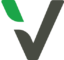 ecovadis V check logo color