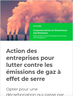 Action des entreprises pour lutter contre les émissions de gaz à effet de serre