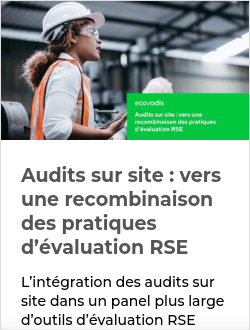 Audits sur site : vers une recombinaison des pratiques d’évaluation RSE