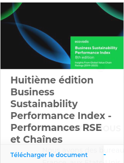 Huiti&egrave;me &eacute;dition Business Sustainability Performance Index -Performances RSE et Cha&icirc;nes d&rsquo;approvisionnement (2019-2023)
