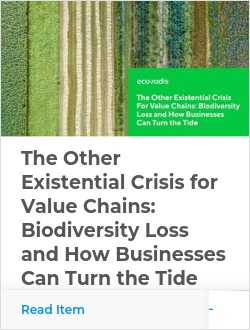The Other Existential Crisis for Value Chains: Biodiversity Loss and How Businesses Can Turn the Tide